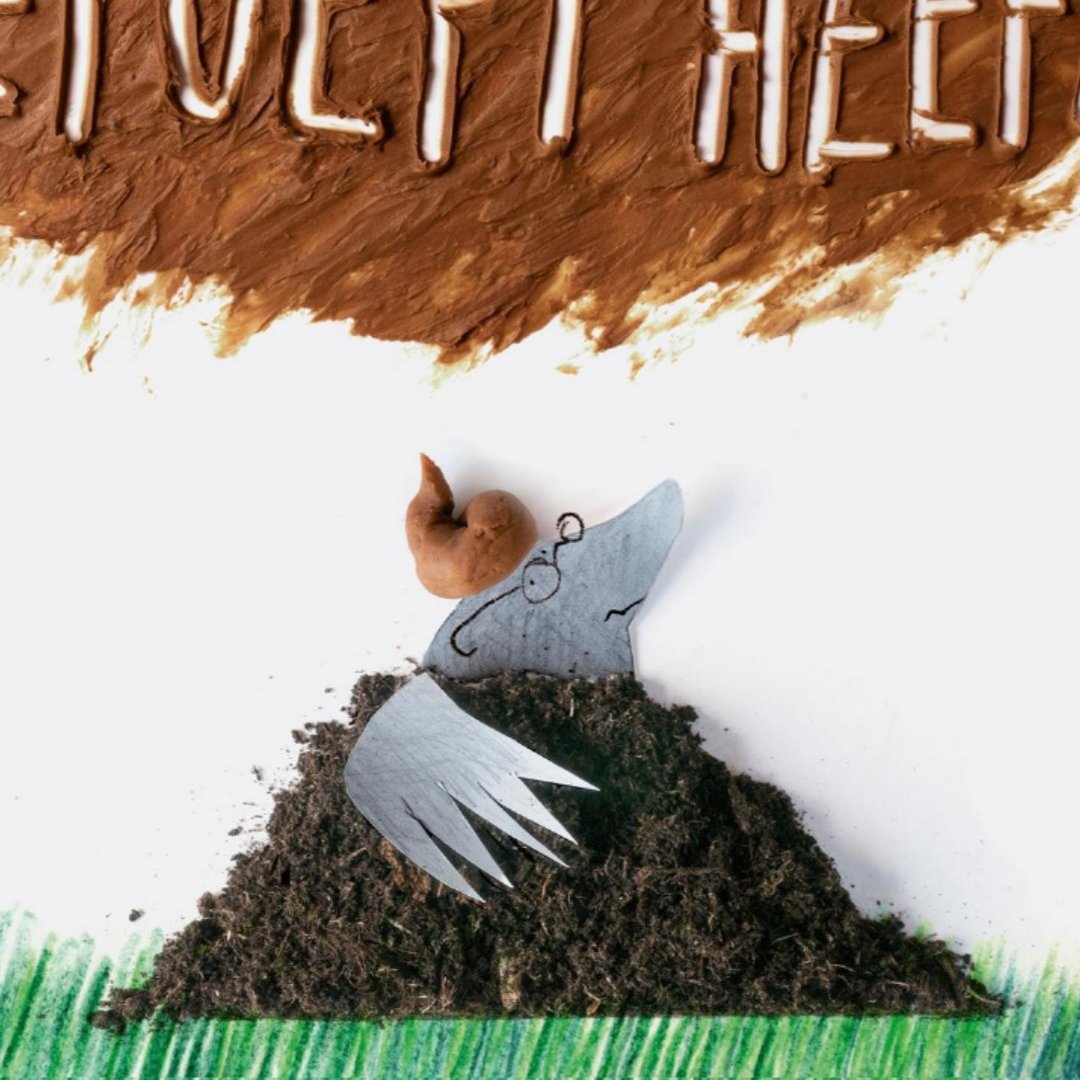 Over een kleine mol die wil weten wie er op zijn kop gepoept heeft